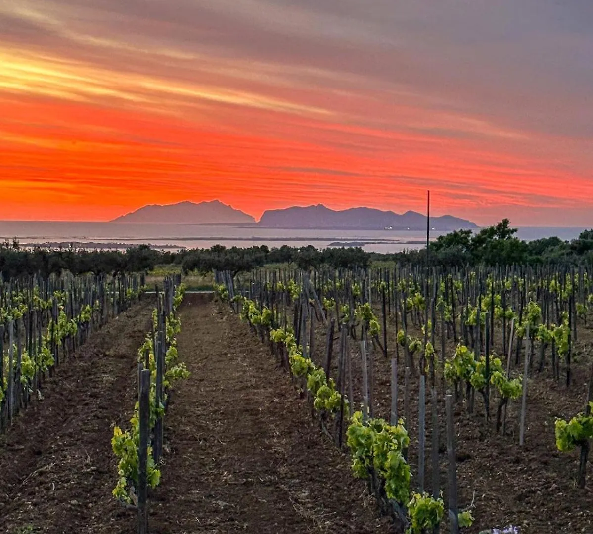 ****  Agriturismo Baglio Donnafranca Wine Resort Marsala Italië