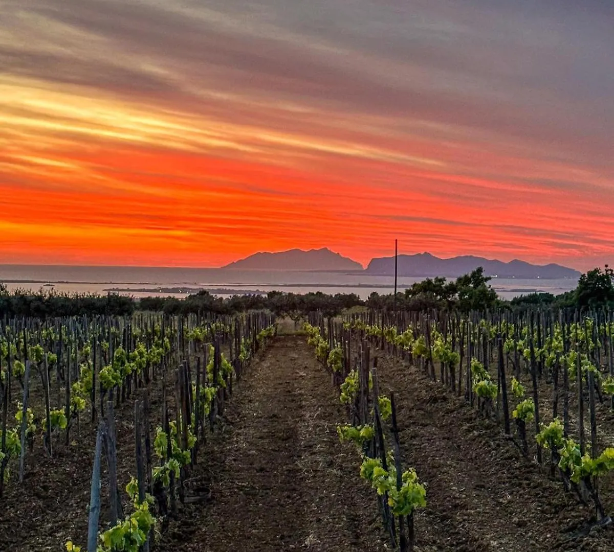 Agriturismo Baglio Donnafranca Wine Resort Marsala Italy