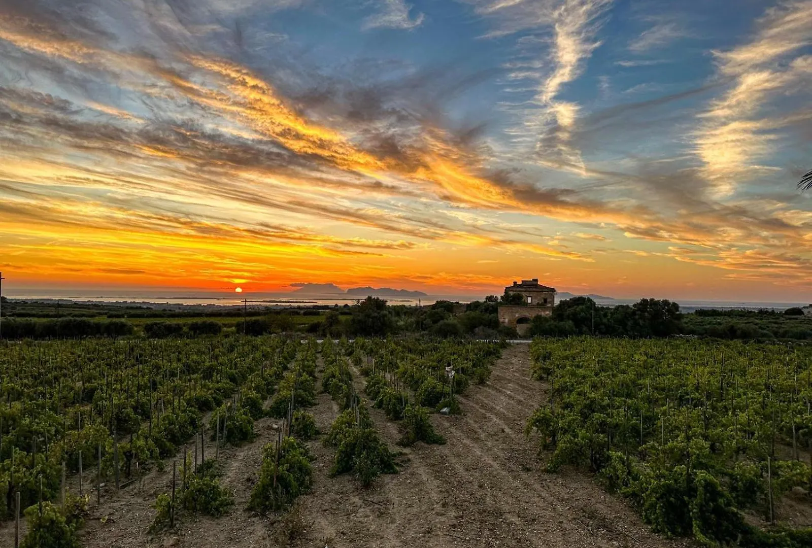 Agriturismo Baglio Donnafranca Wine Resort Marsala Italy