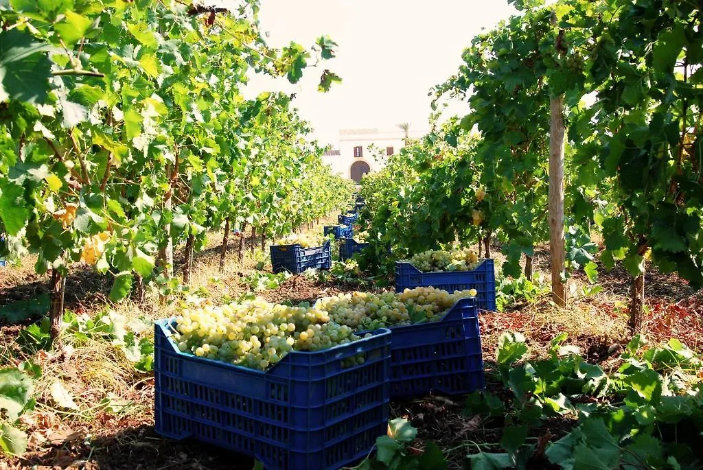 ****  Agriturismo Baglio Donnafranca Wine Resort Marsala Italy